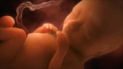 An external womb, will change the nature of human reproduction&#8230;