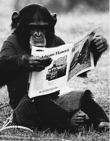 Apes, AIs and Us