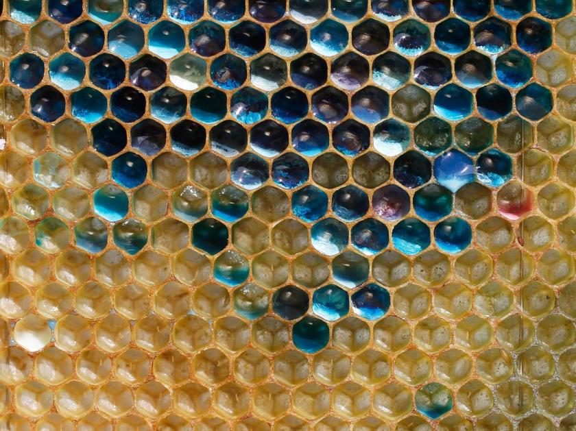 Dumpster Honey