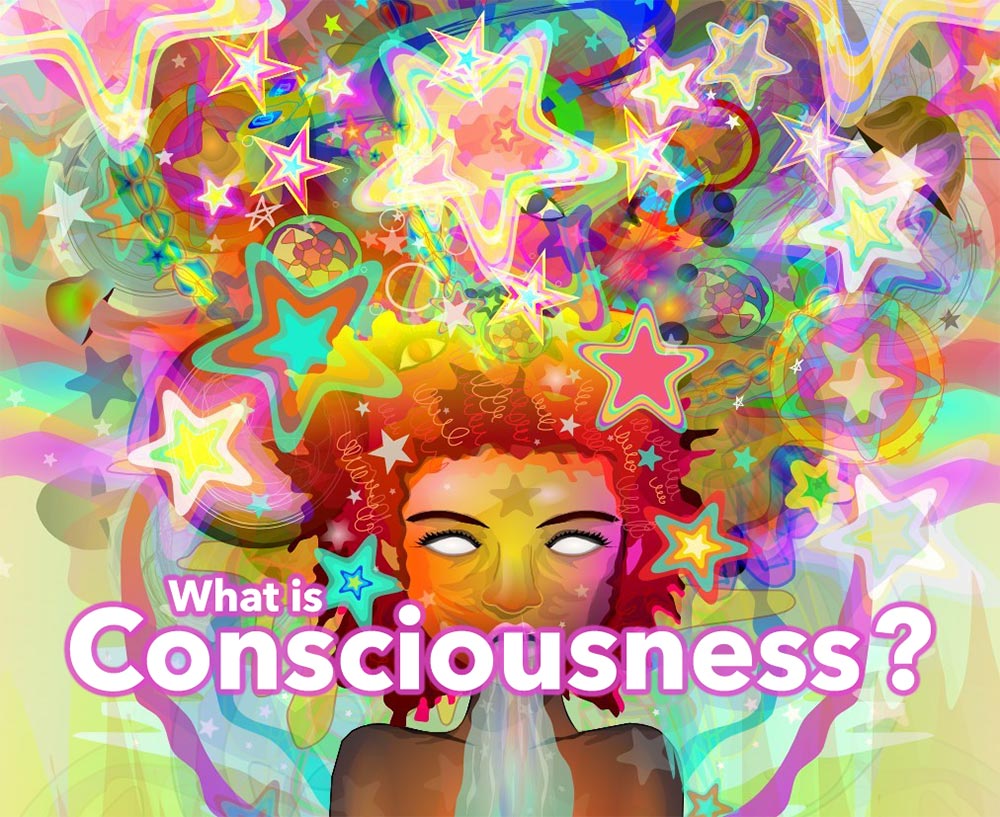 What is Consciousness?
